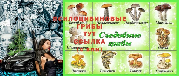 спайс Магадан