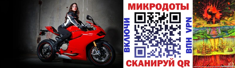 Псилоцибиновые грибы Psilocybe  Подпорожье 