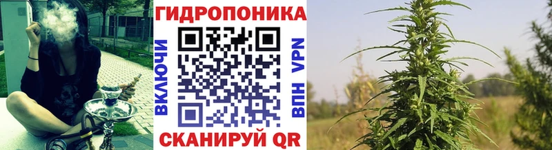 гидра как войти  Подпорожье  Бошки марихуана тримм 